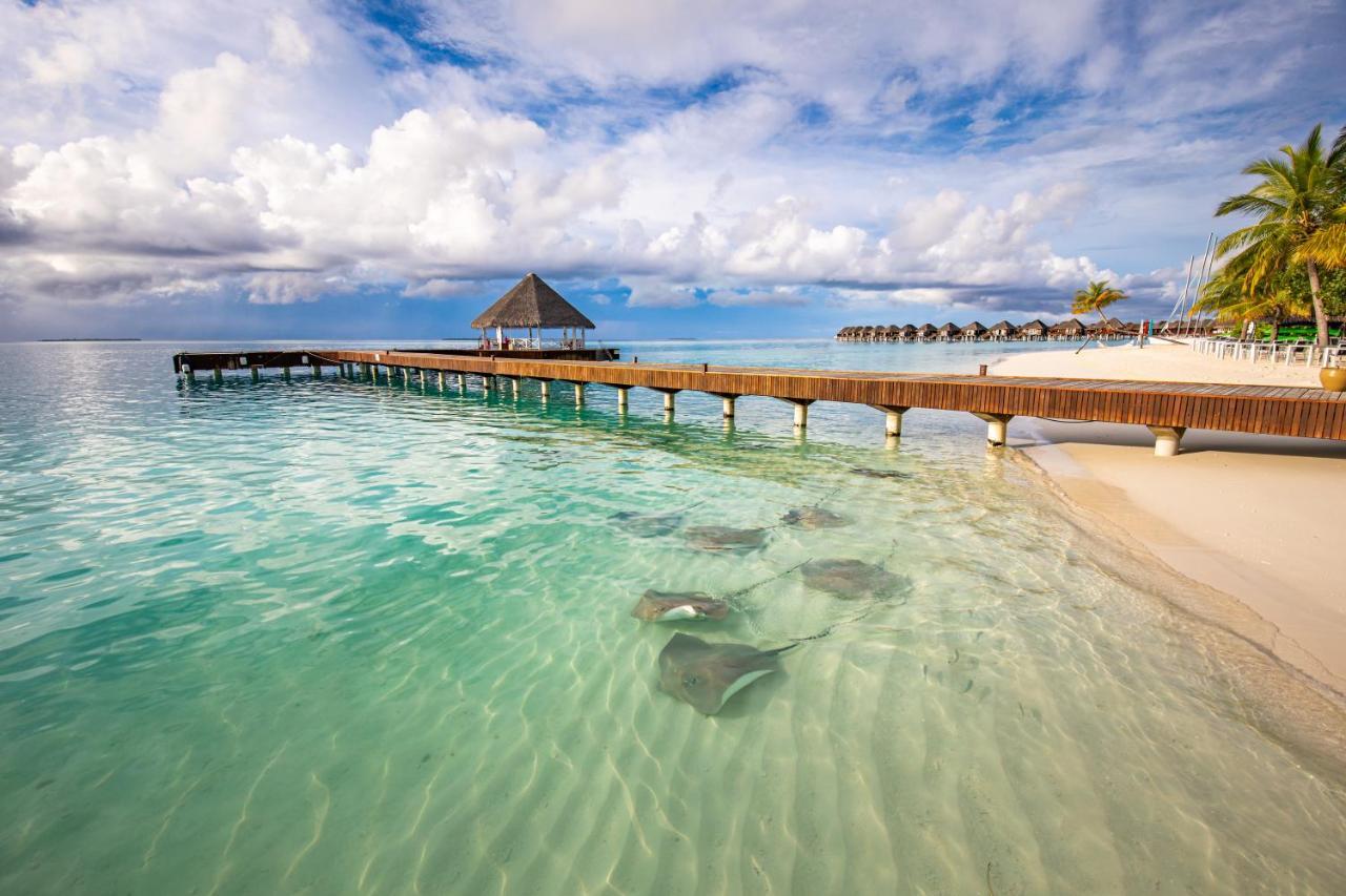 Resort Sun Siyam Vilu Reef Meedhoo (Dhaalu Atoll)