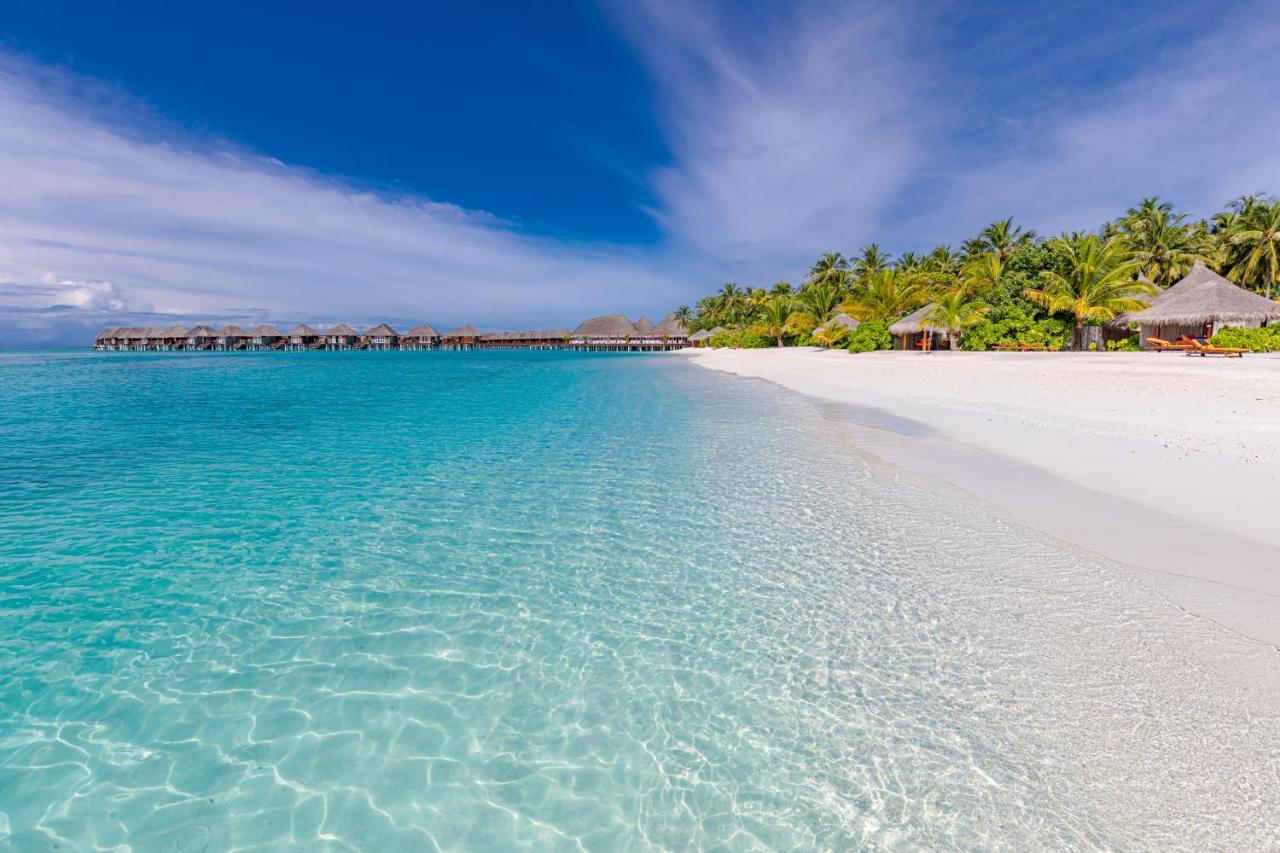 Sun Siyam Vilu Reef 5* Meedhoo (Dhaalu Atoll)